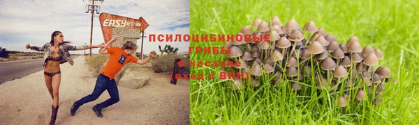 мет Зеленокумск