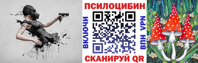 Галлюциногенные грибы Magic Shrooms  Купить где  Красноармейск 